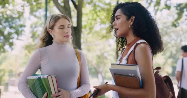 Educação Diversidade Amigos Estudantes Conversando Campus Universitário Juntos Verão Escola — Vídeo de Stock