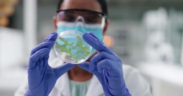 Ciencia Máscara Mujer Con Planta Plato Laboratorio Para Investigación Seguridad — Vídeos de Stock