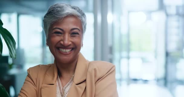 성숙한 여성과 비즈니스 기업가 행복에 자신감을 사무실에서 교차했습니다 리더십을위한 미소를 — 비디오