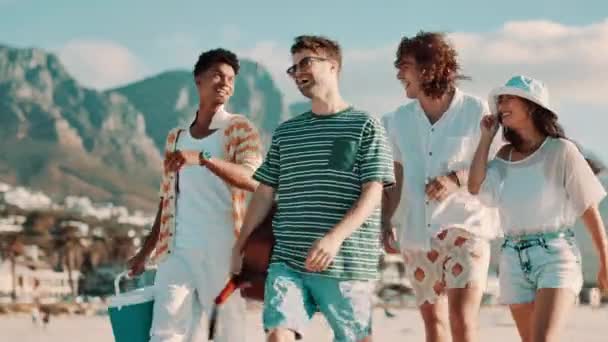 피크닉 바구니 휴가를위한 케이프 타운에서 웃음과 여행을위한 해변에서 다양성 농담으로 — 비디오