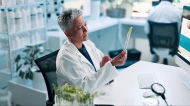 Bilim, kadın ve test tüpü laboratuarda numune incelemesi, büyüme süreci ve gmo mühendisliği için. Biyoteknoloji, kıdemli bilim adamı ve sürdürülebilir tıp için ilaç analizi.