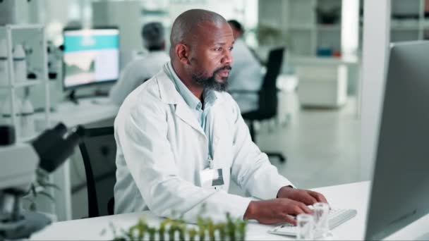 Science Homme Noir Recherche Avec Innovation Informatique Dans Laboratoire Botanique — Video