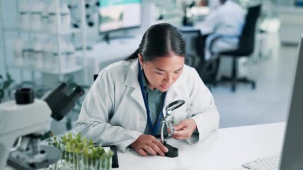 植物科学者 医療イノベーションの研究開発のための実験室でガラスと女性を拡大 テスト管のGmoそしてハーブの苗のサンプルのためのバイオテクノロジー 専門家およびペトリ皿 — ストック動画