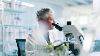 Bilim, laboratuvar ve bitkileri olan kadın, mikroskop ve kıdemli tıp mühendisiyle araştırma. Biyoteknoloji, botanik ve kadın bilim adamlarıyla birlikte büyüme, gelişme ya da tarımsal çalışmaların sonuçları kontrol ediliyor..