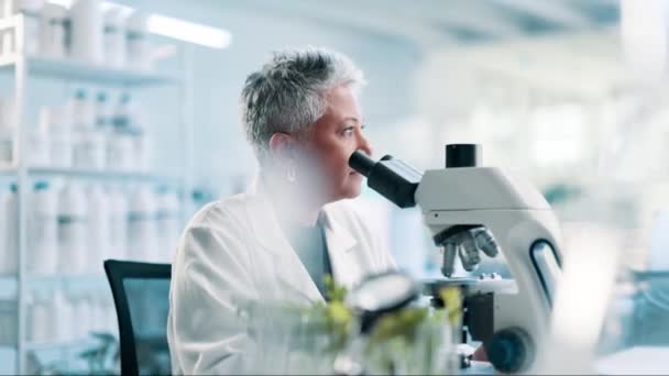 実験室 顕微鏡 シニア医療エンジニアによる研究 バイオテクノロジー 女性科学者が成長 発達または農業研究の結果をチェック — ストック動画