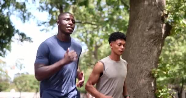 Erkekler Arkadaşlar Açık Hava Parkında Spor Performansı Eğitim Sağlık Için — Stok video