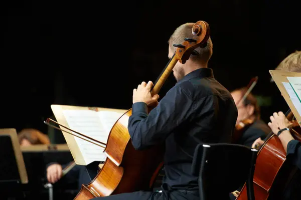 Person Geige Und Live Musik Für Veranstaltung Konzert Und Orchester — Stockfoto