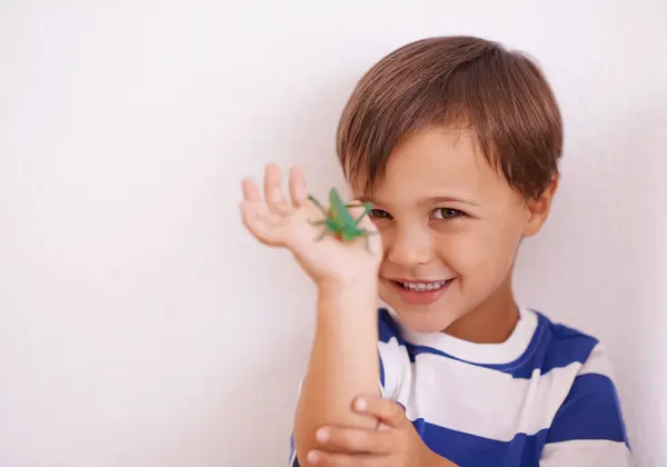 Παιδί Μάθηση Και Χαρούμενο Πορτραίτο Έντομο Στο Χέρι Για Επιστημονική — Φωτογραφία Αρχείου