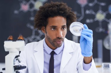 Bilim, mikroskop ve test için cam numunesi olan bir adam laboratuvar teknisyeniyle kimya araştırması yapan bir adam. Analiz, araştırma ya da sınav için çanağı olan biyoteknoloji, laboratuvar ve bilim adamı.