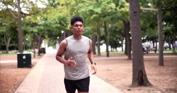 Course Fitness Coureur Masculin Dans Nature Cardio Vêtements Sport Dans — Video