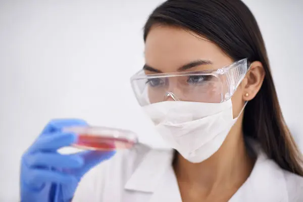 Ciencia Máscara Mujer Con Placa Petri Para Investigación Médica Experimento —  Fotos de Stock