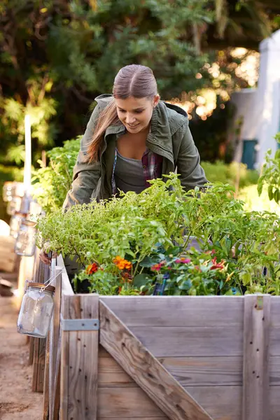 Mujer Feliz Plantas Cosecha Con Cultivos Recursos Agricultura Crecimiento Sostenibilidad —  Fotos de Stock