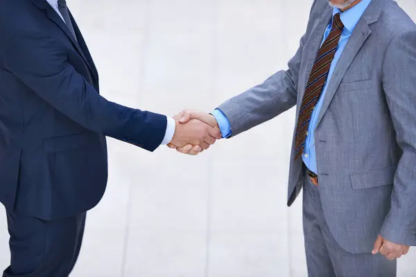 Ofis Adamları Anlaşma Için Sıkışma Işbirliği Danışman Için B2B Ortaklık — Stok fotoğraf