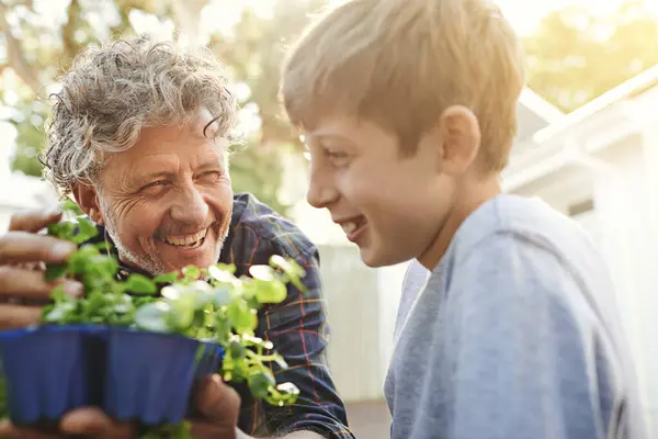 緑の成長 環境に関する学習と祖父を持つ園芸 庭の趣味で屋外で子供の園芸を教えるエコフレンドリーで上級男 — ストック写真