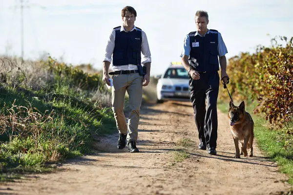 Detective Hond Lopen Het Veld Voor Diefstal Plaats Delict Met — Stockfoto