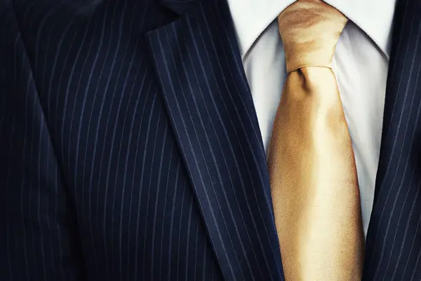Businessman Suit Gold Tie Fashion Corporate Style Attire Clothing Jacket — Stock Photo, Image