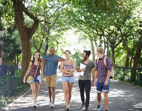 Students, friends and walking on campus with learning, knowledge and books or talking of college. Group of people with outdoor conversation in a park or university for education, study or opportunity.