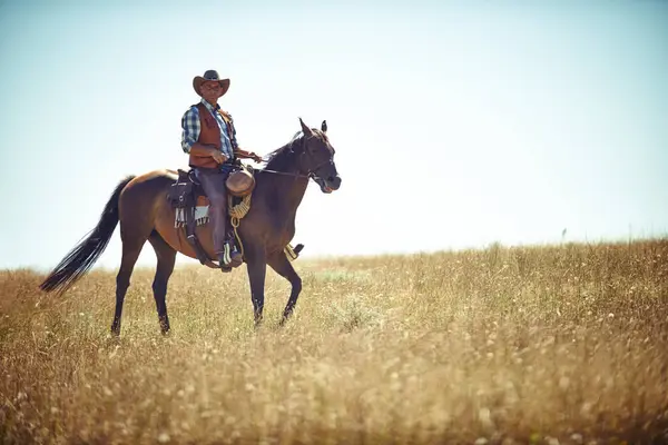 Man Horse Countryside Land Cowboy Adventure Riding Texas Meadow Explore — Stock Photo, Image