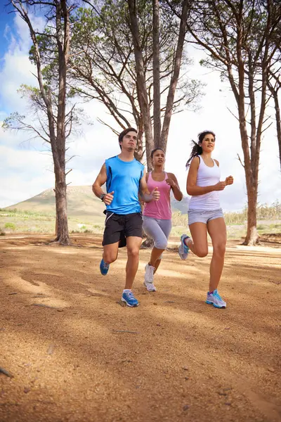 Wood, running and group for outdoor on forest trail, environment and nature in summer for exercise. Diverse, friends and people in park for training, sport and fitness with trees on mockup space.