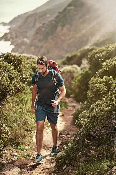 Man, hiking and nature for cardio, health and wellness with back and mountain. Athlete, exercise and adventure with summer, sunshine and backpack journey on cape town trail with travel and vacation.