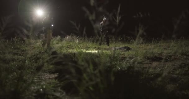 Детектив Поисковый Отряд Фонарик Ночью Поле Пропавший Человек Расследование Полиции — стоковое видео