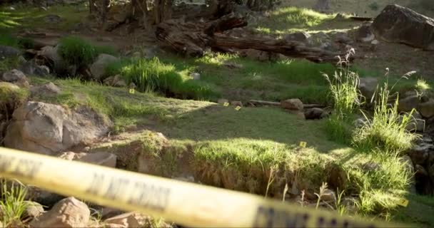 Crime Scene Outdoor Forest Investigation Police Forensic Background Yellow Tape — Stock Video