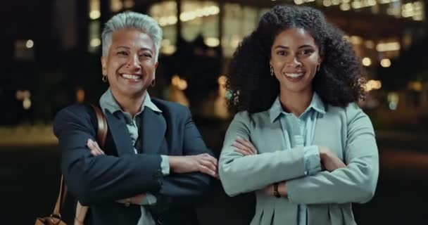 Forretningskvinde Nat Med Professionelle Karrieremuligheder Ambitioner Eller Selvtillid Portræt Medarbejdere – Stock-video