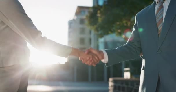 Business People Handshake Outdoors Welcome Greeting Career Corporate Job Recruitment — Stock Video