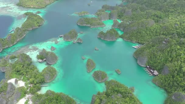 Raja Ampat Île Drone Pour Les Voyages Tropicaux Vacances Été — Video