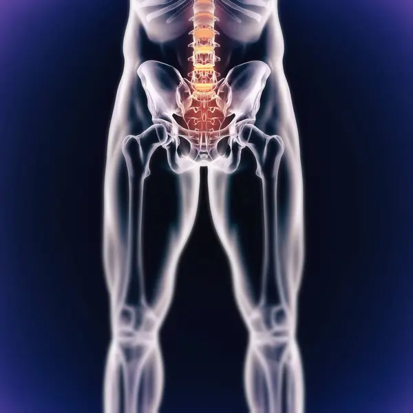 Male Body Skeleton Pain Graphic Xray Medical Overlay Exam Analysis — Stock Photo, Image