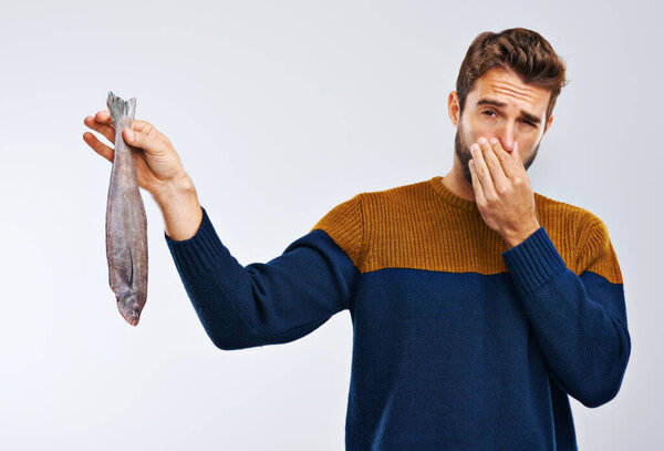 Man, disgust and fish with smelling odor, bad stench of animal or sea creature on a gray studio background. Male person with gross facial expression of disgusted aroma or smelly odd stink on mockup.