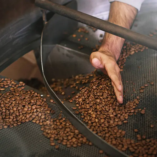 Koffiebonen Machine Handen Industrie Voor Productie Malen Braden Met Smaak — Stockfoto
