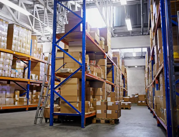 Warehouse Boxes Inventory Distribution Storage Cardboard Shelves Manufacturing Import Export Royalty Free Stock Images