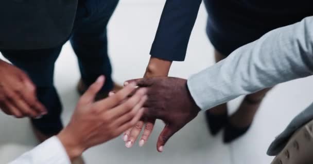 多样性 商界人士和在职者携起手来寻求支持 伙伴关系或动力 专业雇员 企业和姿态 同意团队建设 会议和团结 — 图库视频影像