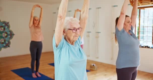 Starsza Kobieta Grupa Joga Klasą Dla Duchowego Wellness Lub Równowagi — Wideo stockowe