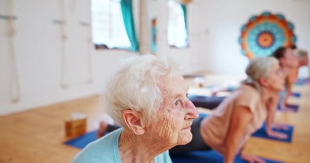Elderly Woman Stretching Yoga Class Pilates Spiritual Wellness Balance Together — Stock Video