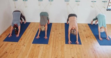 Kadın, koç ve yoga, evde esneme, ruhsal sağlık veya zen konularında sınıf farkı yok. Ahşap zeminde pilates, eğitim ya da egzersiz, spor, spor ya da sağlık yapan insanlar ya da yogi grubu.