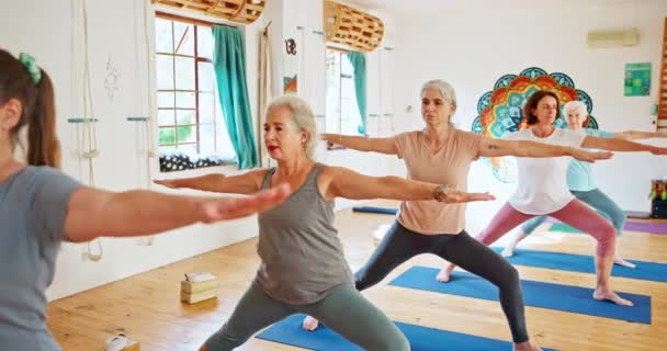 Femme Âgée Pilates Zen Avec Classe Yoga Bien Être Spirituel — Video