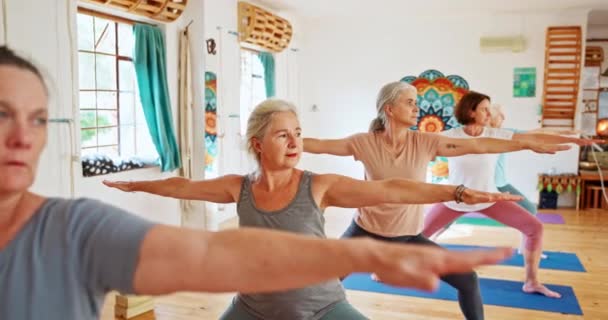 Senior Woman Stretching Zen Yoga Class Spiritual Wellness Gym Balance — Stock Video