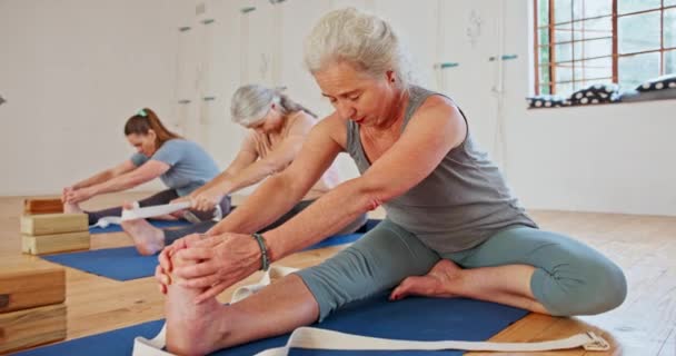 Mujer Mayor Grupo Estiramiento Con Clase Yoga Para Zen Salud — Vídeo de stock