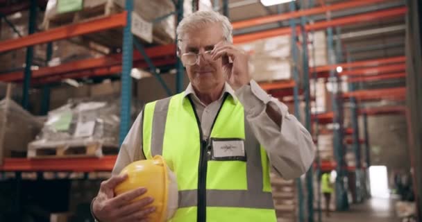 Logistik Lager Und Porträt Eines Mannes Mit Brille Für Warenwirtschaft — Stockvideo