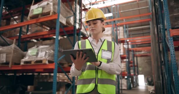 Logistiek Magazijn Vrouw Met Tablet Voor Inventarisatie Online Planning Inspectie — Stockvideo