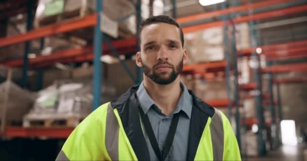 Homme Sérieux Dans Portrait Avec Entrepôt Distribution Chaîne Approvisionnement Carrière — Video