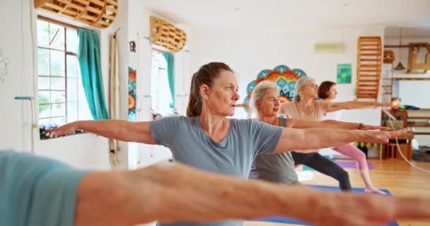 Mujer Mayor Grupo Clase Yoga Con Zen Para Bienestar Espiritual — Vídeo de stock