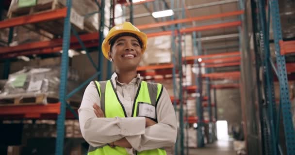 对库存 检验和分发有信心的快乐女人的物流 仓库和肖像 为全球出口的质量控制 信任和自豪而在工厂工作的微笑 面孔和人员 — 图库视频影像