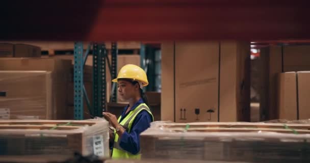 Shelf Warehouse Woman Tablet Inventory Online Planning Logistics Distribution Digital — Stock Video