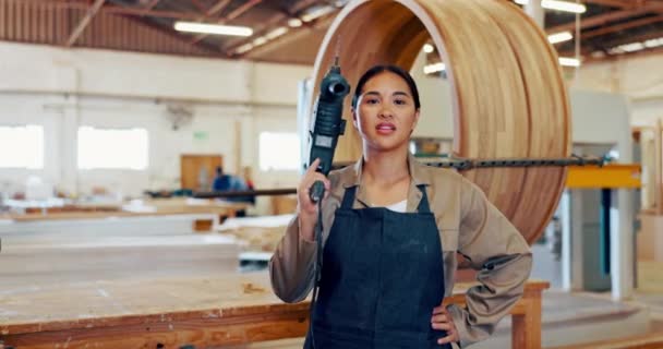 Wanita Bengkel Atau Bengkel Sebagai Tukang Kayu Bisnis Atau Konstruksi — Stok Video