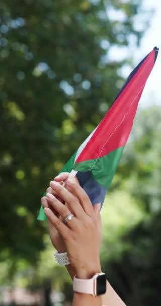 Comunidade Mãos Dadas Bandeira Palestina Protesto Pelos Direitos Humanos Apoio — Vídeo de Stock