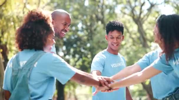 Voluntário Equipe Comunidade Aplaudindo Livre Celebração Para Colaboração Ong Doação — Vídeo de Stock