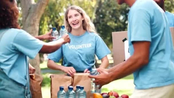 Donation Volontärarbete Eller Personer Med Lagarbete Parken Med Vatten Insamling — Stockvideo